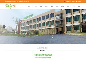 合肥網(wǎng)站定制開發(fā)與專業(yè)APP開發(fā)制作——合肥海風信息科技助力企業(yè)數(shù)字化轉(zhuǎn)型